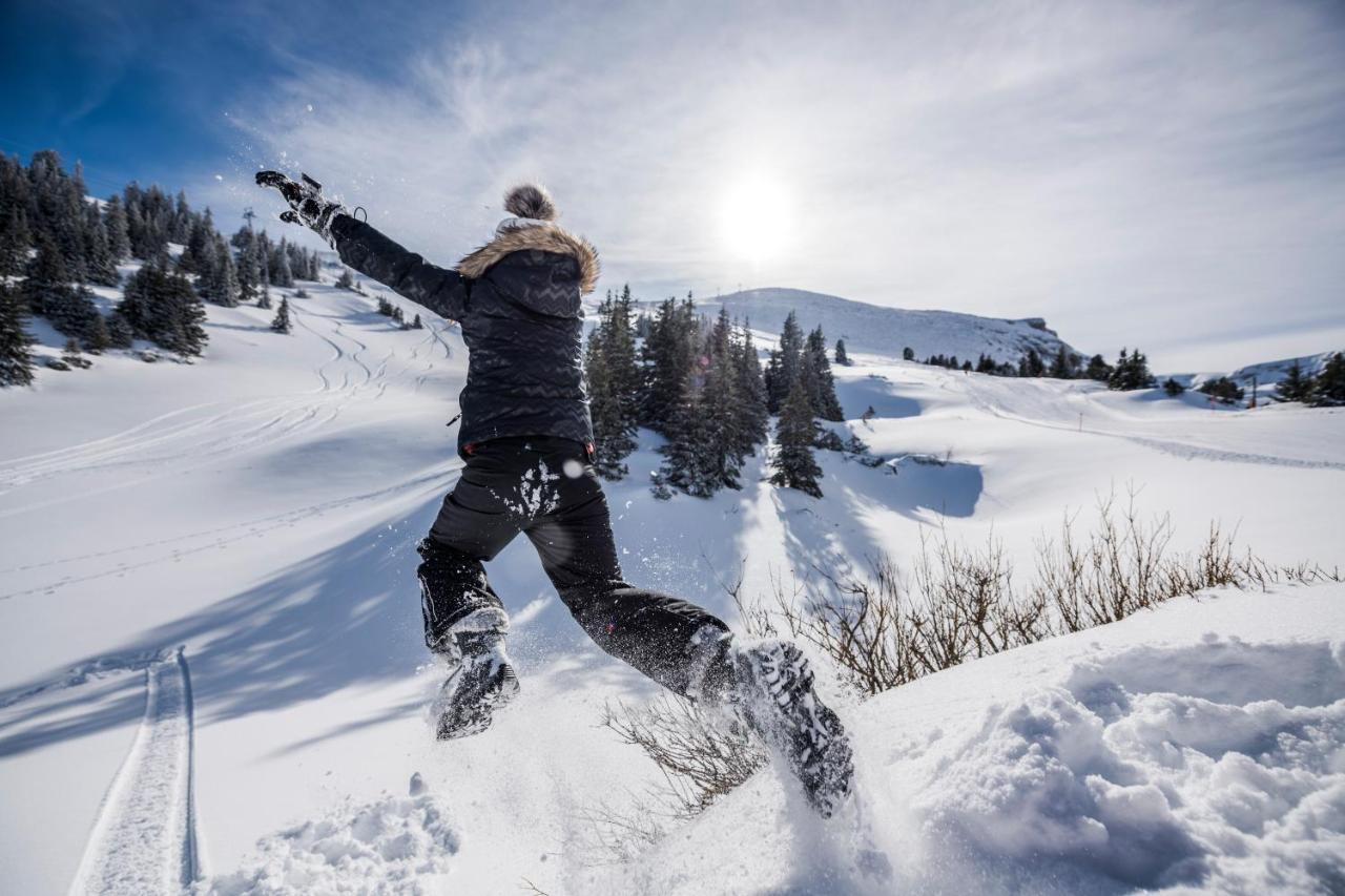 Hotel Saentis Lodge Unterwasser Bagian luar foto